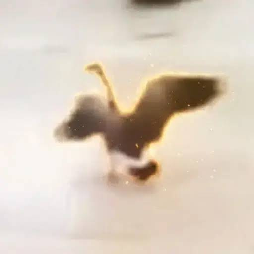 GOOSE