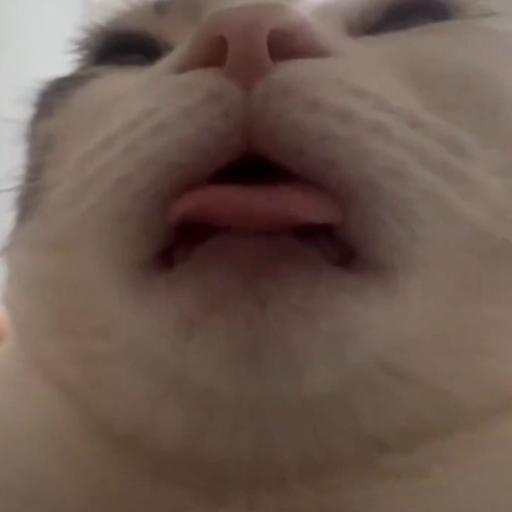 Licking