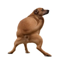 TWERKDOG