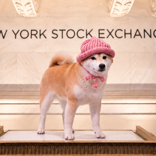 NYSEDOG