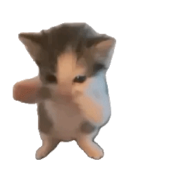 SCUBACAT