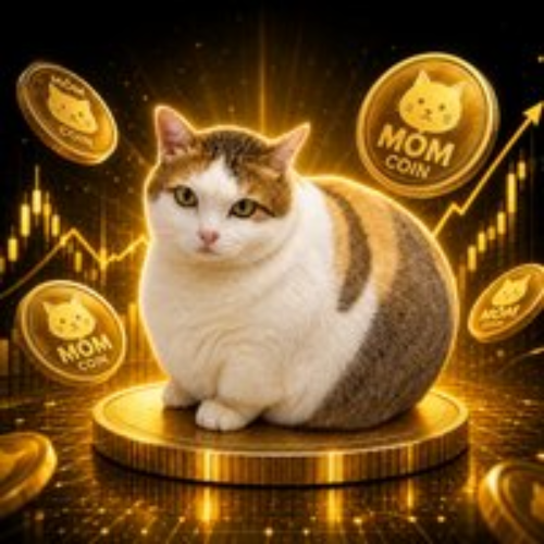 MOMCAT