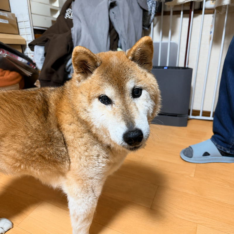 WAKO