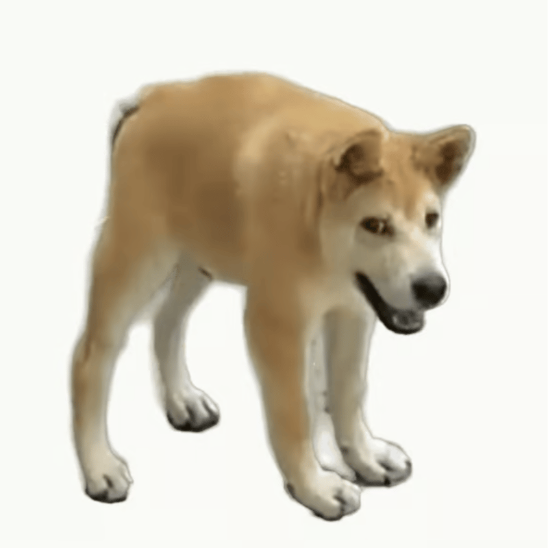doggo