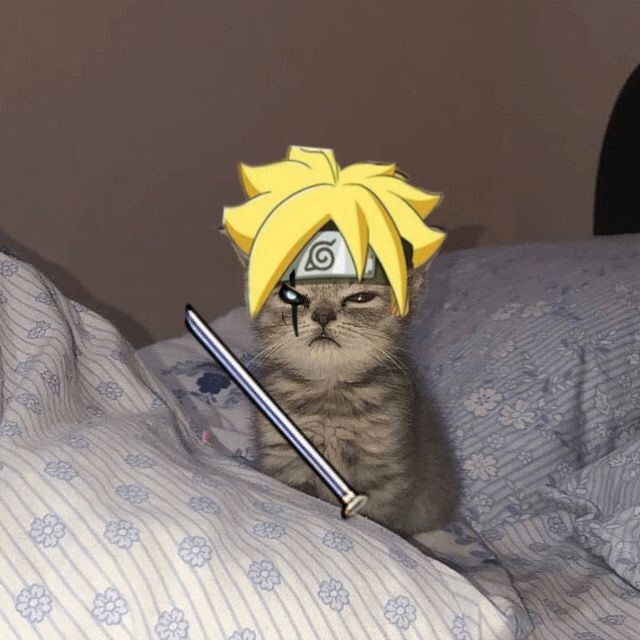 AniCat