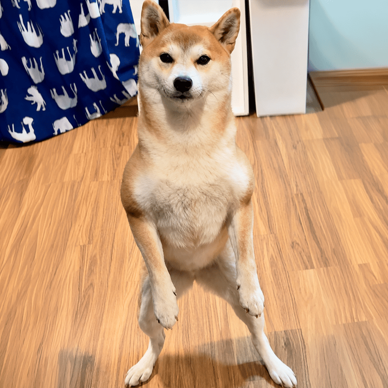 つくね