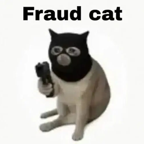 fraudcat