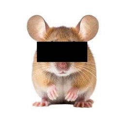 Anonymouse