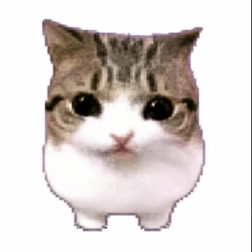 Meowpin