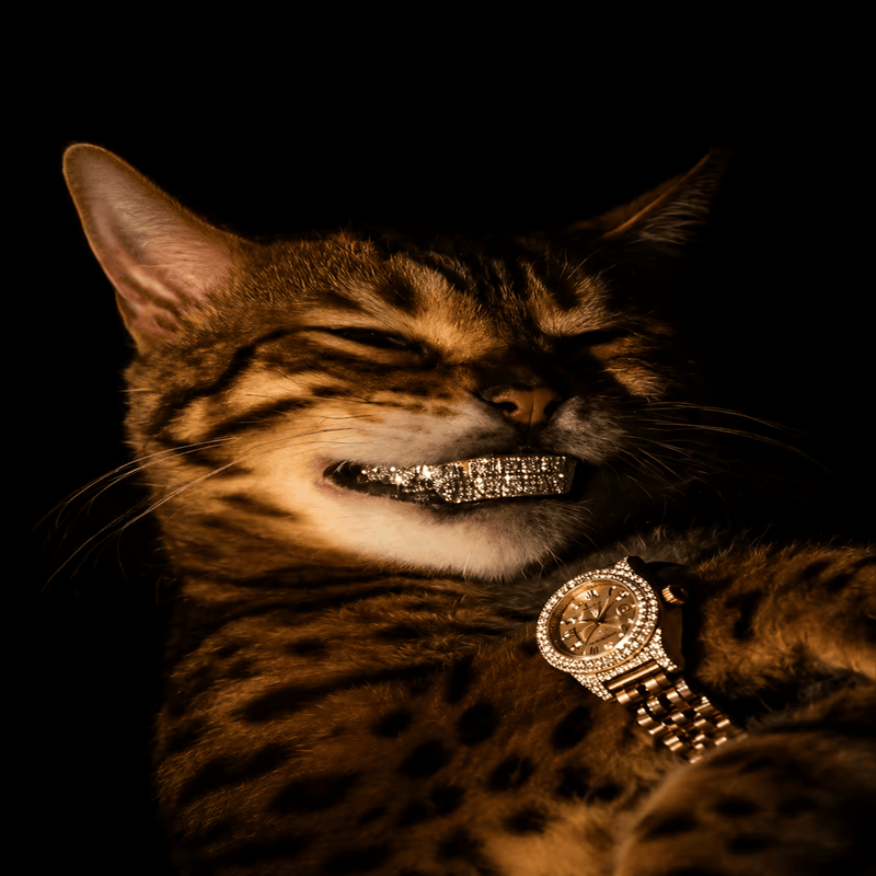 The Larp Cat logo