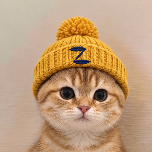 CATWIFSAP