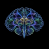 Jev Brain logo