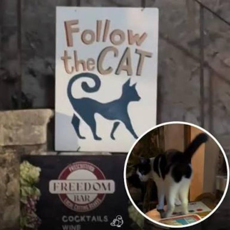 HOSTCAT