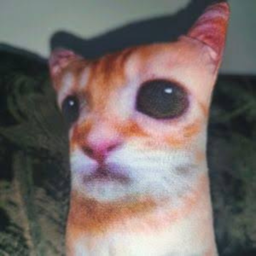 Gato Godxi logo