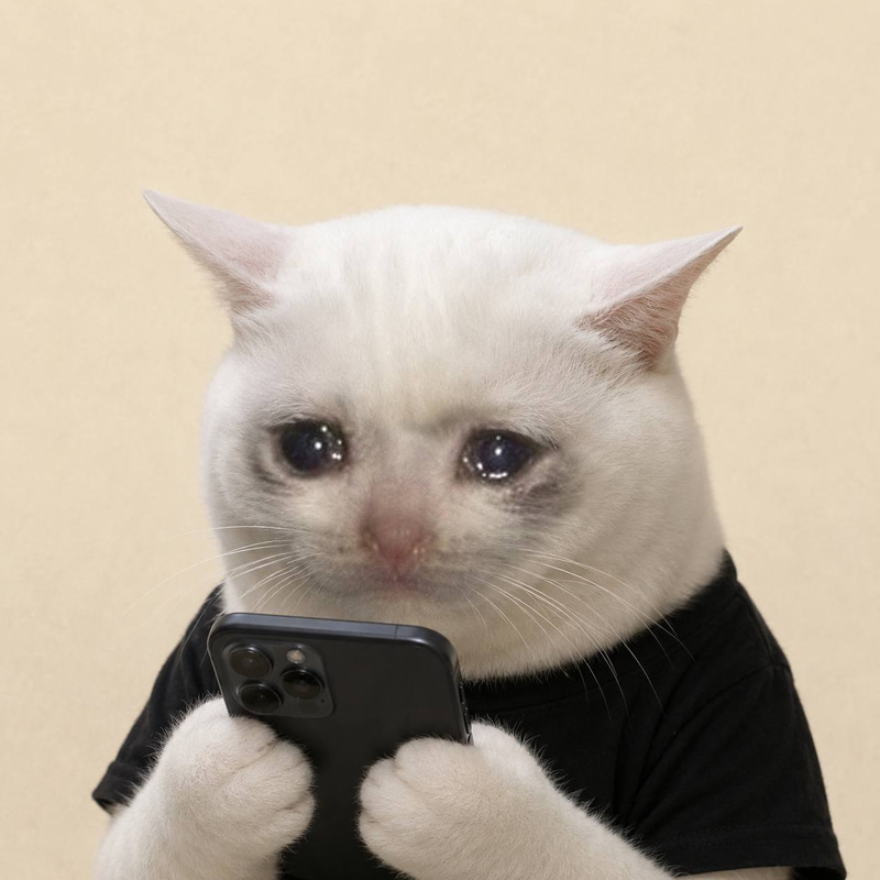 sadonfone