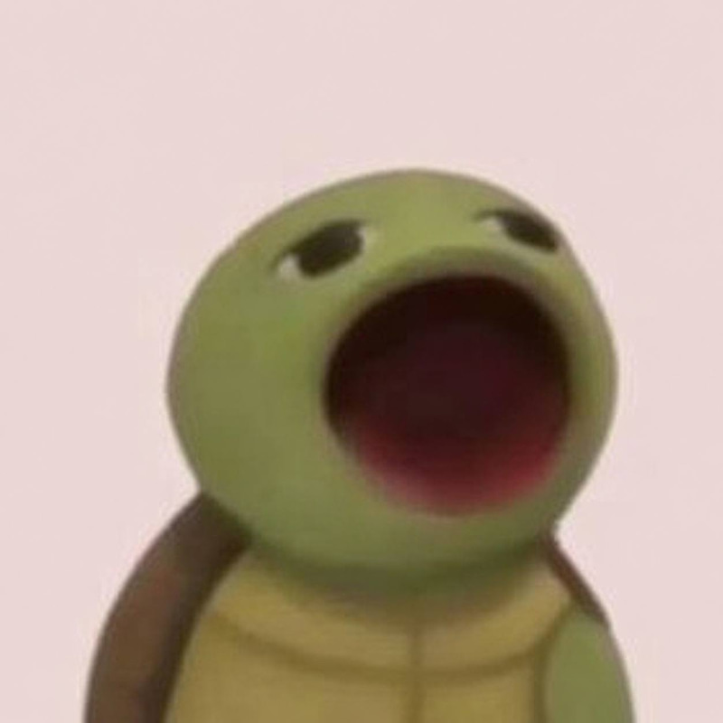 Popturtle logo