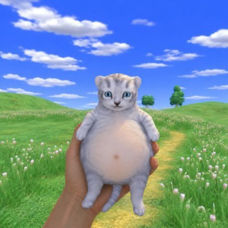 BELLY