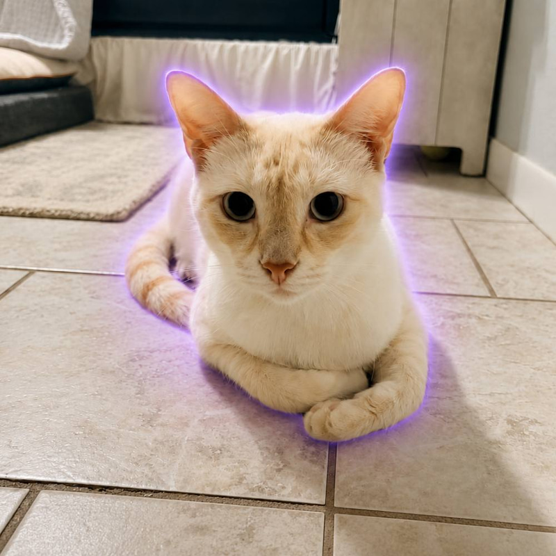 Simba