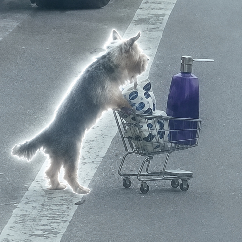 WIFCART