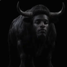 Nigger