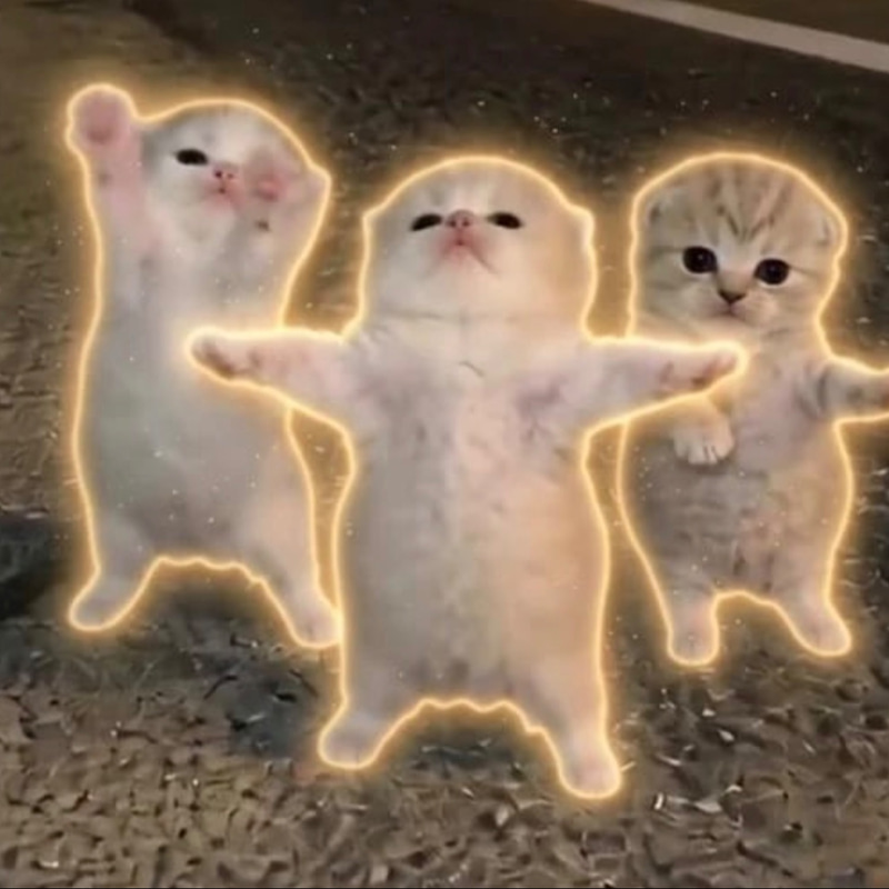 Silly Little Dancing Cats logo