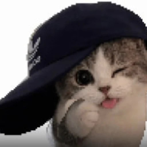 CAP