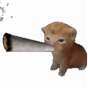 Catpiss logo