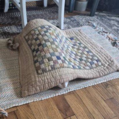 rug