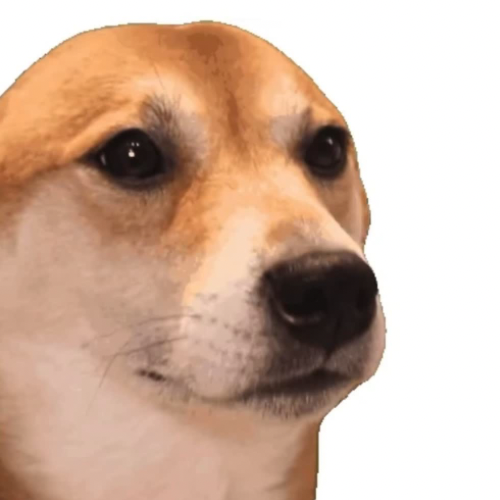 bopdog logo