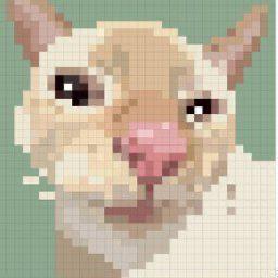 CuteCat