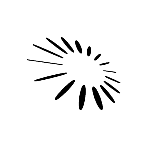 C52 logo