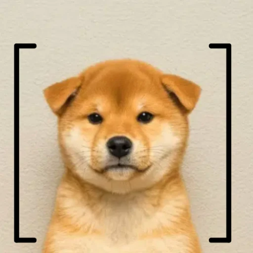 [dog]