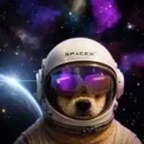 SpaceX Inu logo
