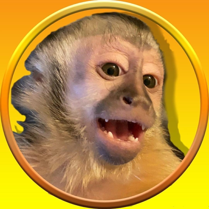 KIALA