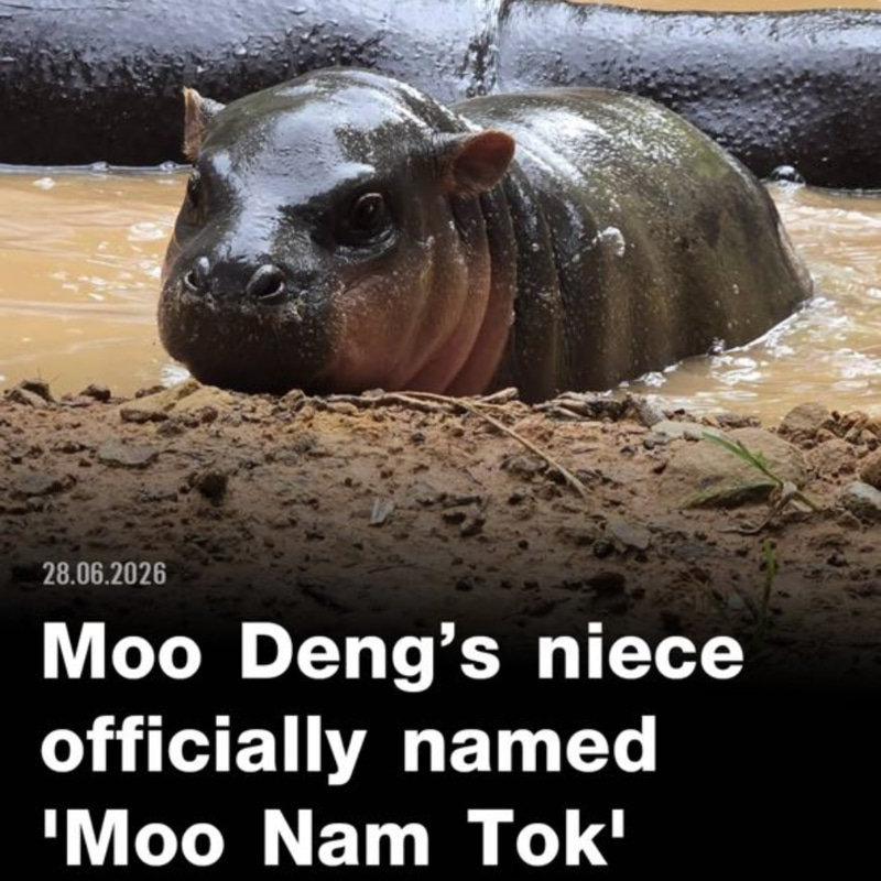 MOO NAM TAK