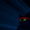 Ninjacat logo