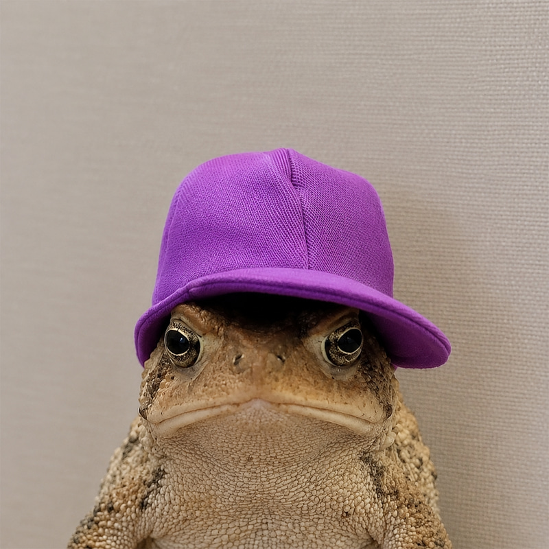 Frogwithat logo