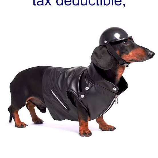 TAXDOG