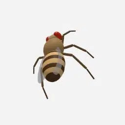 FLY