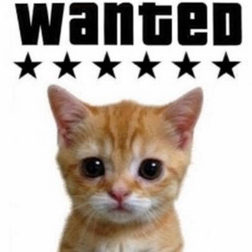 WANTED logo
