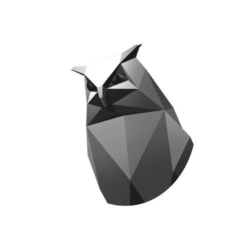 CYBEROWL