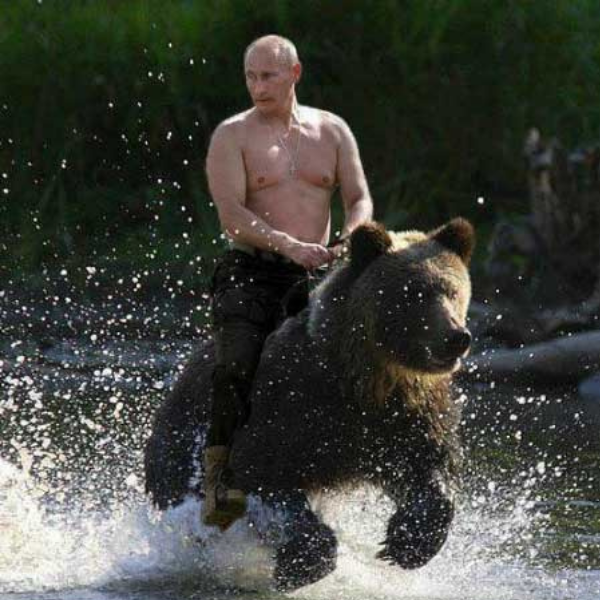 Putin On Bear logo