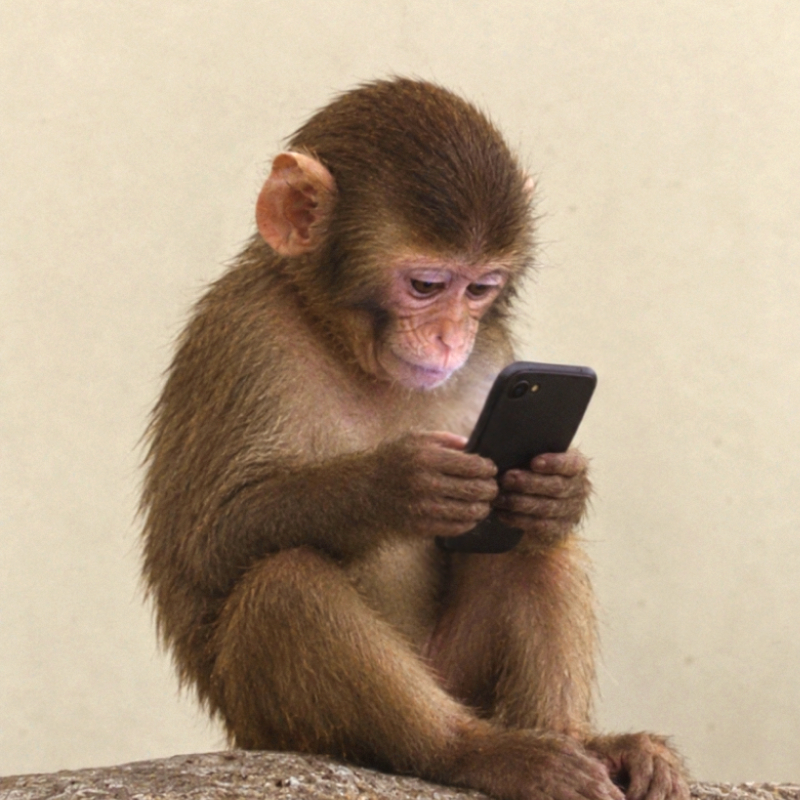 fone