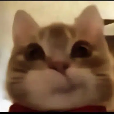 JEFF
