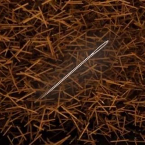 Needle