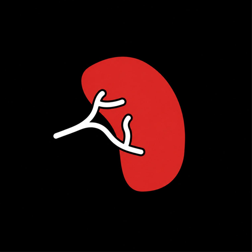 kidney