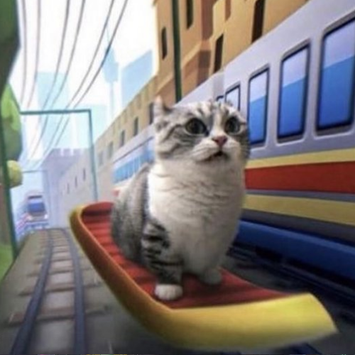 onboard