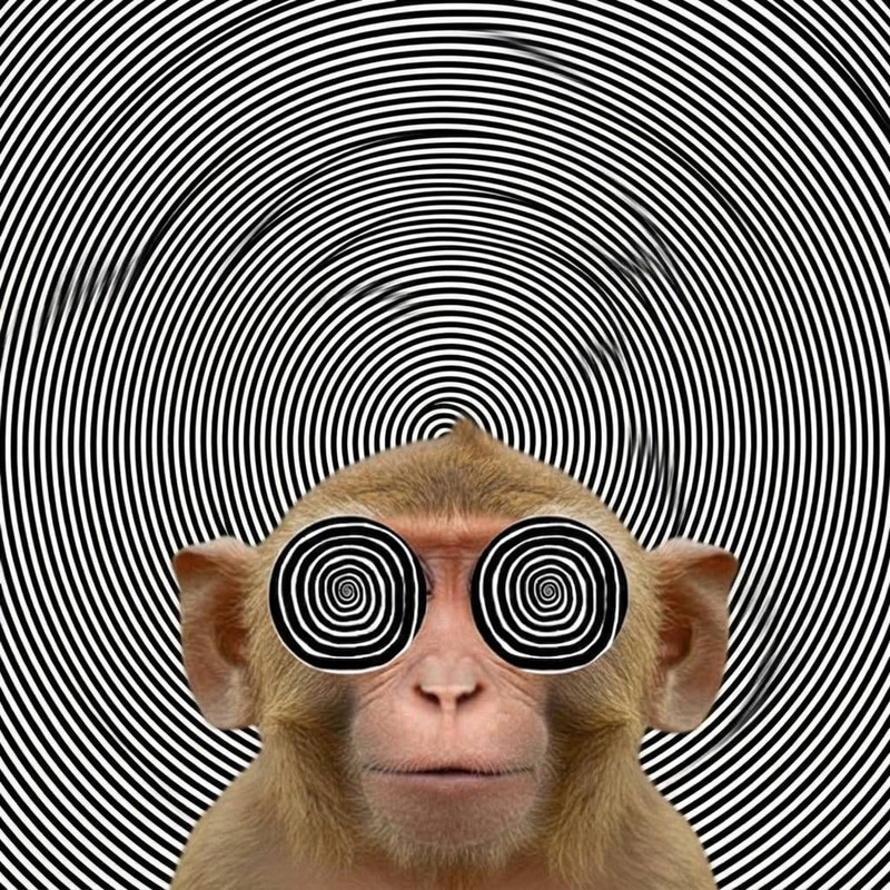APE
