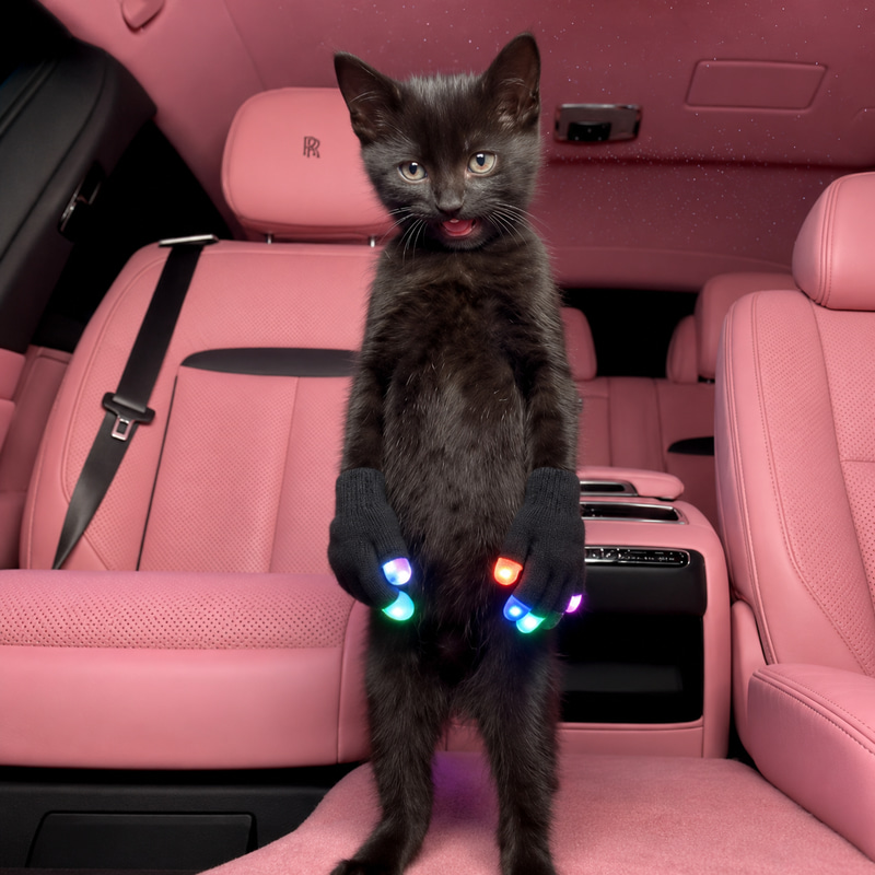 GLOVERCAT