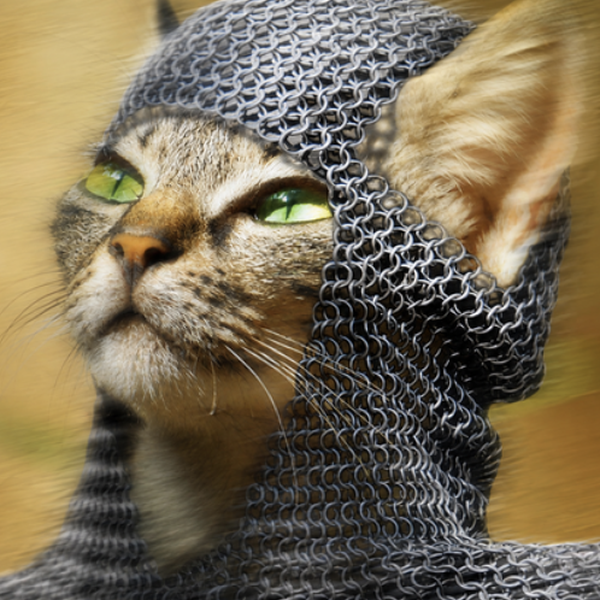 chaincat
